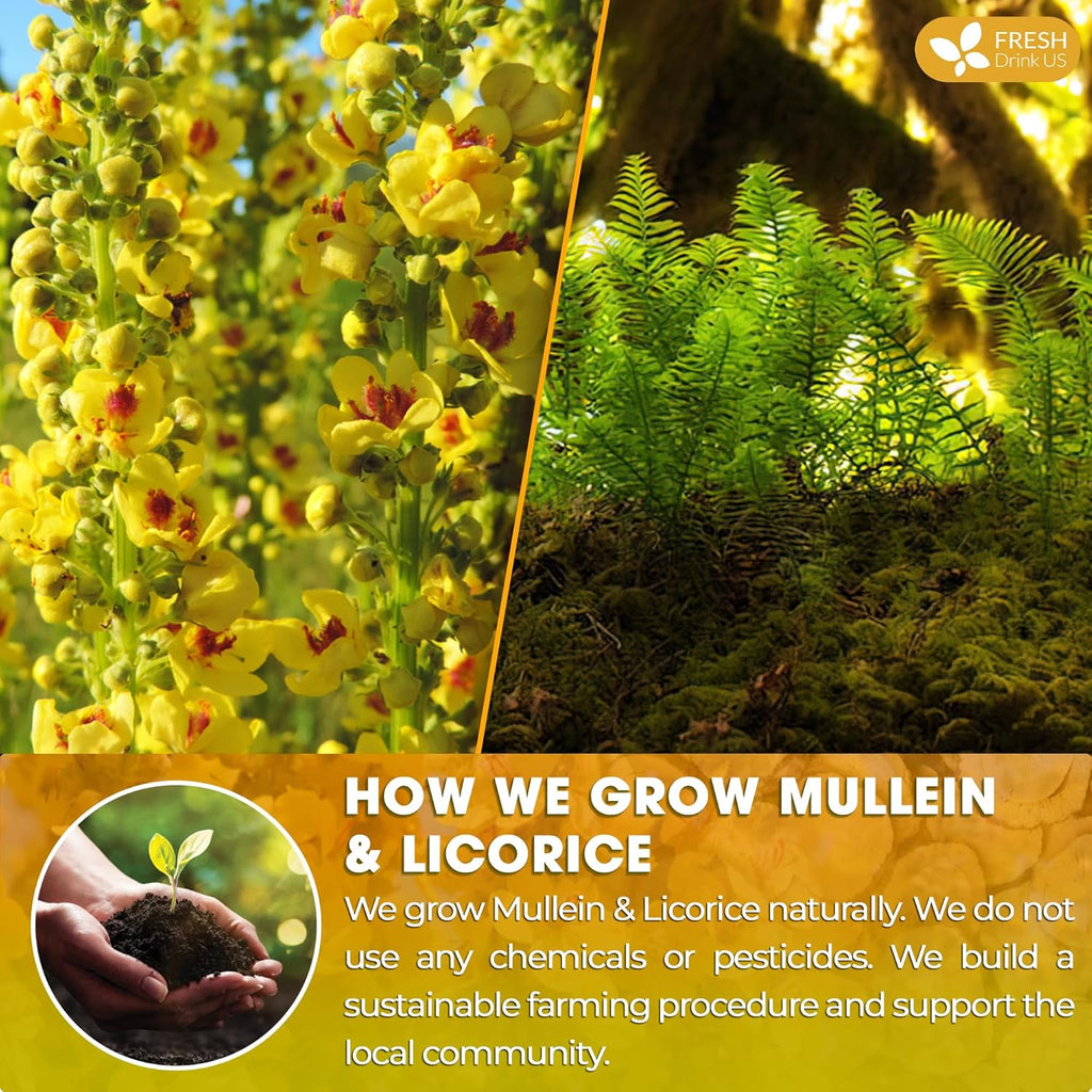 FreshDrinkUS, Premium 55 Mullein Licorice Tea Bags, 100% Natural, Blend of Mullein Leaves, and Licorice Root. Made with Natural Material Tea Bags. No Sugar, Vegan.