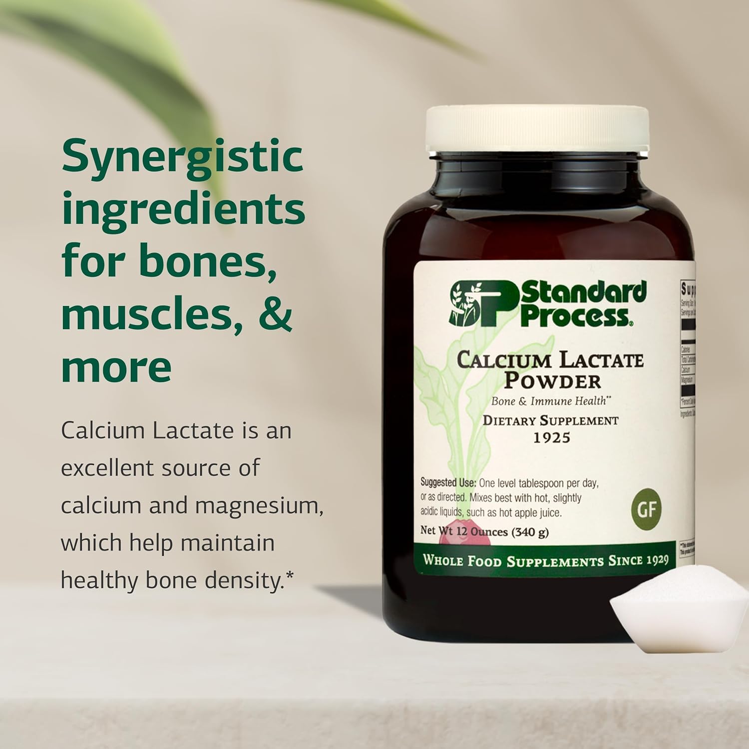 Standard Process - Calcium Lactate Powder - Bone Health & Immune Support - Calcium Magnesium Supplement for Bone Strength & Blood Health - Non-Dairy, Non-Soy & Gluten-Free - 12 oz