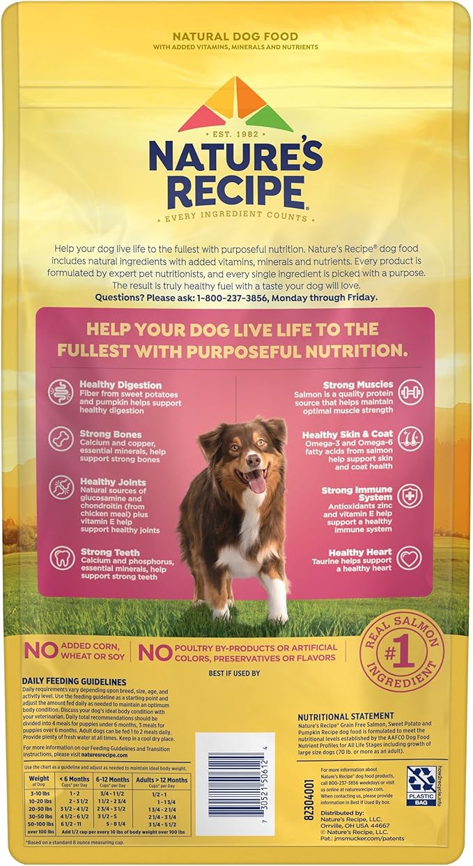 Nature′s Recipe Grain Free Salmon, Sweet Potato & Pumpkin Recipe Dry Dog Food, 4 lb. Bag (Pack of 2)