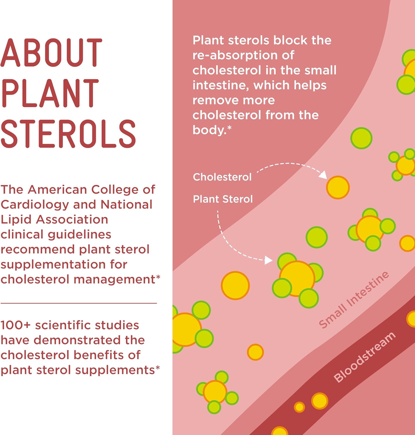 Plant Sterols Healthy Cholesterol Gummy Supplement (2280 mg Plant Sterol Esters Per Day): Clinical Strength, Vegan (112 Gummies)