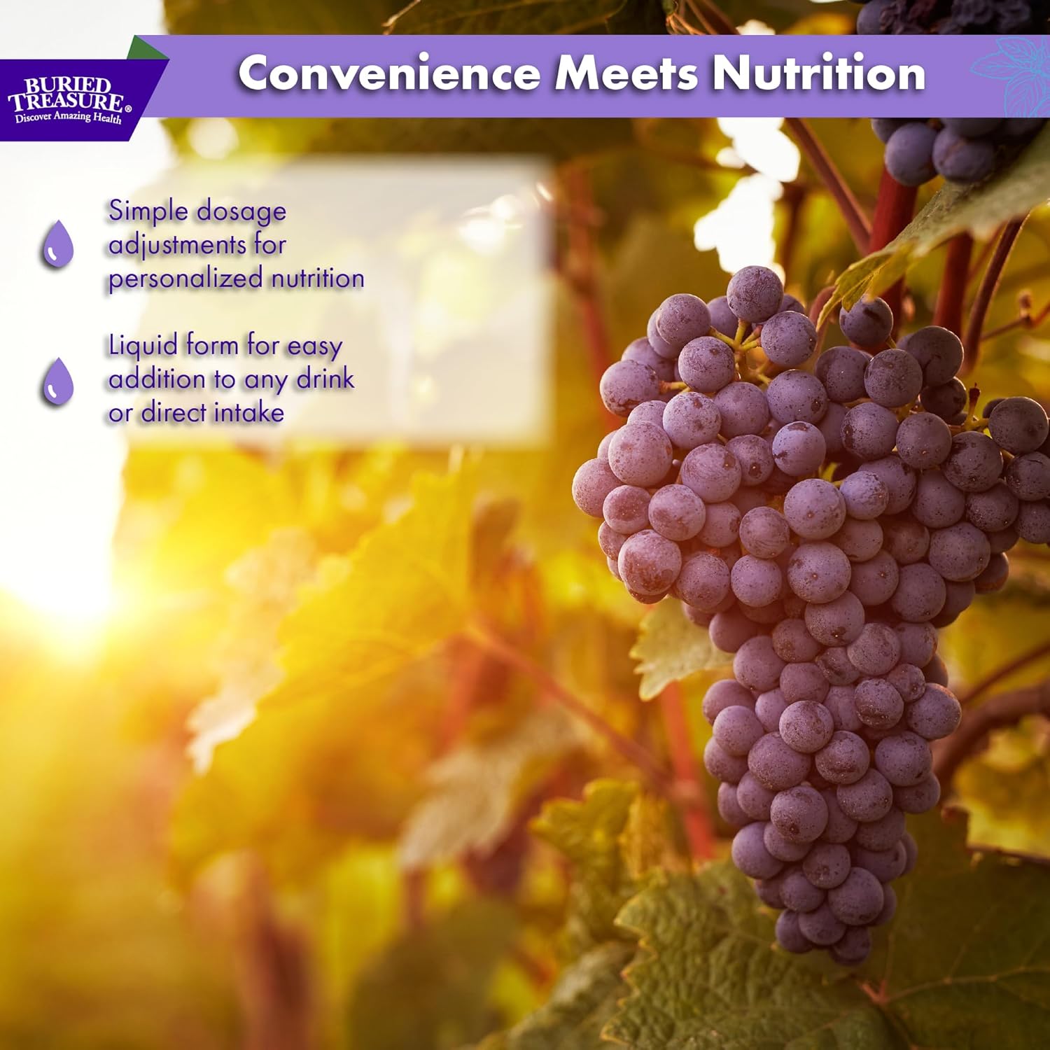 Buried Treasure Fulvic Minerals Grape Flavored – Colloidal Minerals from Humic Fulvic Acid, Electrolytes from Trace Minerals for Recovery and Wellness Support. Add to Water – 32 Servings