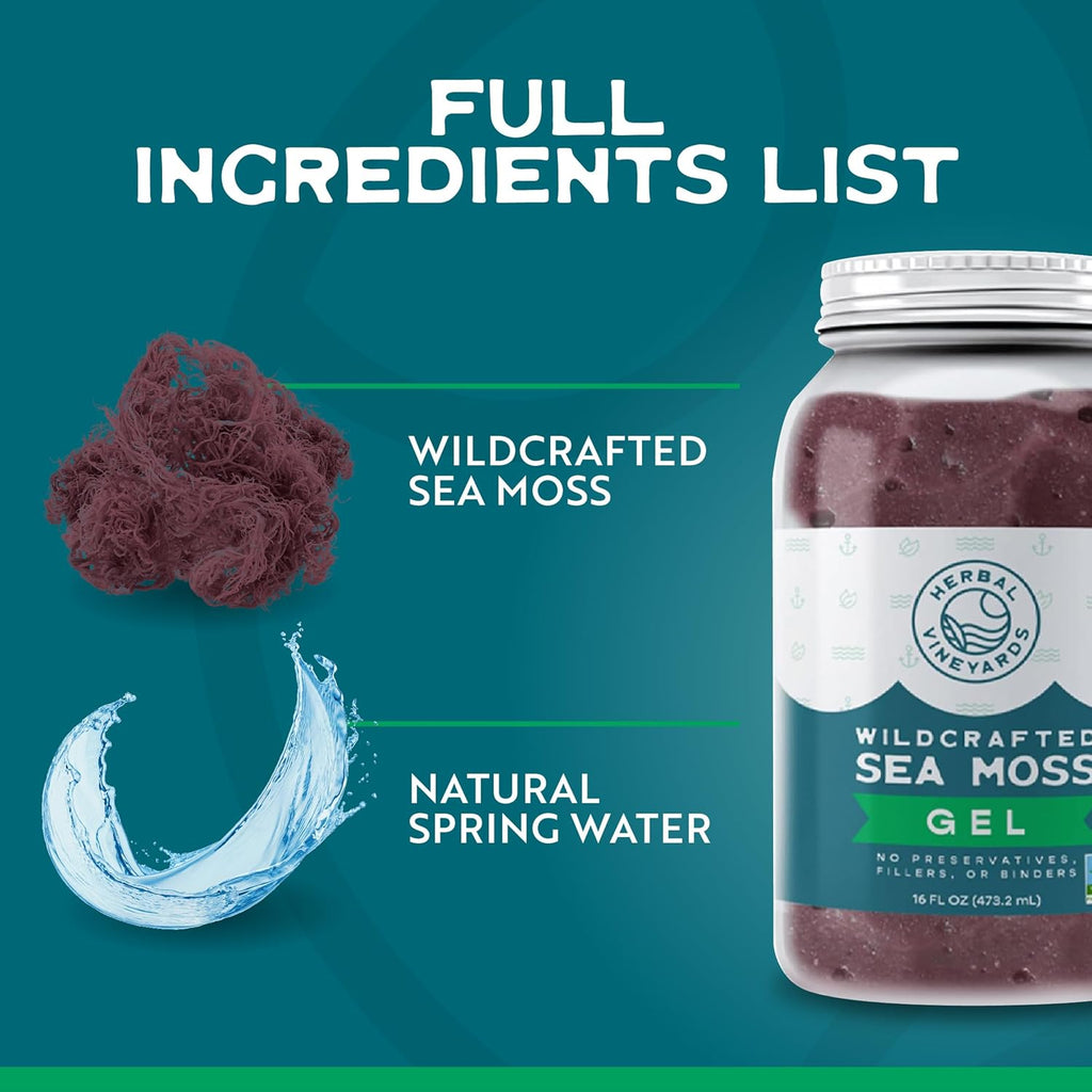 Herbal Vineyards Wildcrafted Irish Purple Sea Moss Gel 16 Oz - Organic Seamoss Gel Made with Dried Seaweed & Fresh Sea Vegetables, Natural & Plant-Based, Harvested in Pristine Waters, USA