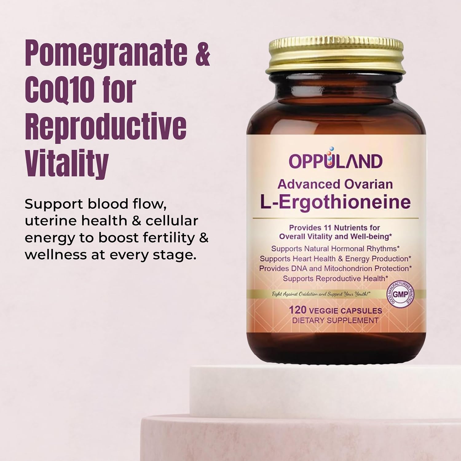 L-Ergothioneine Supplement for Women – Advanced Ovarian Support with Inositol, CoQ10, Vitex, and Multivitamins – Supports Fertility, Ovulation, Hormone Balance – 60 Servings
