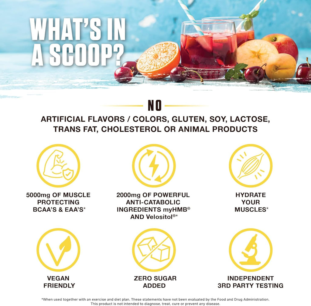 Ambrosia Hydroglyph Intraworkout Electrolytes Hydration Drink Mix | Sugar Free Electrolyte Powder with Amino Acids | Supports Lean Muscle During Fasting | 30 Servings | Fruit Punch