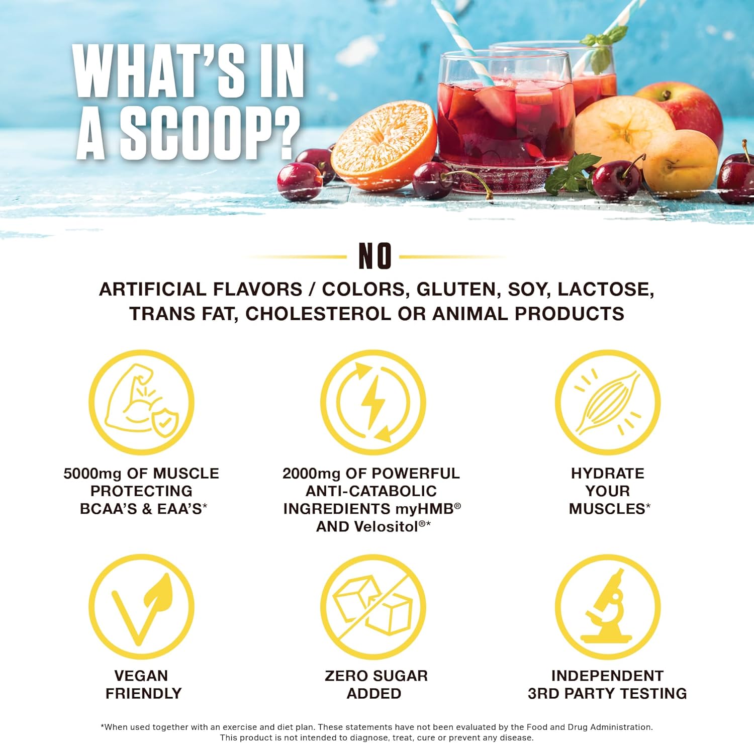 Ambrosia Hydroglyph Intraworkout Electrolytes Hydration Drink Mix | Sugar Free Electrolyte Powder with Amino Acids | Supports Lean Muscle During Fasting | 30 Servings | Fruit Punch