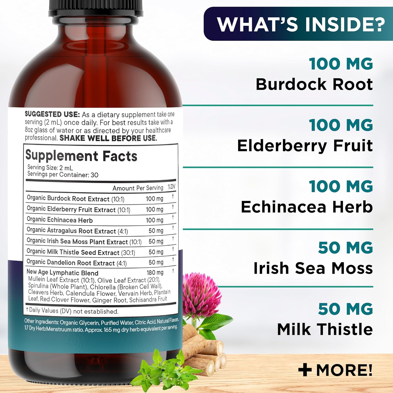 Organic Lymphatic Drainage Drops - All in 1 Organic Lymphatic Drainage Supplement with Burdock Root, Echinacea, Elderberry, Calendula, Cleavers Herb, Dandelion Supports Lymphatic Health - 8 OZ