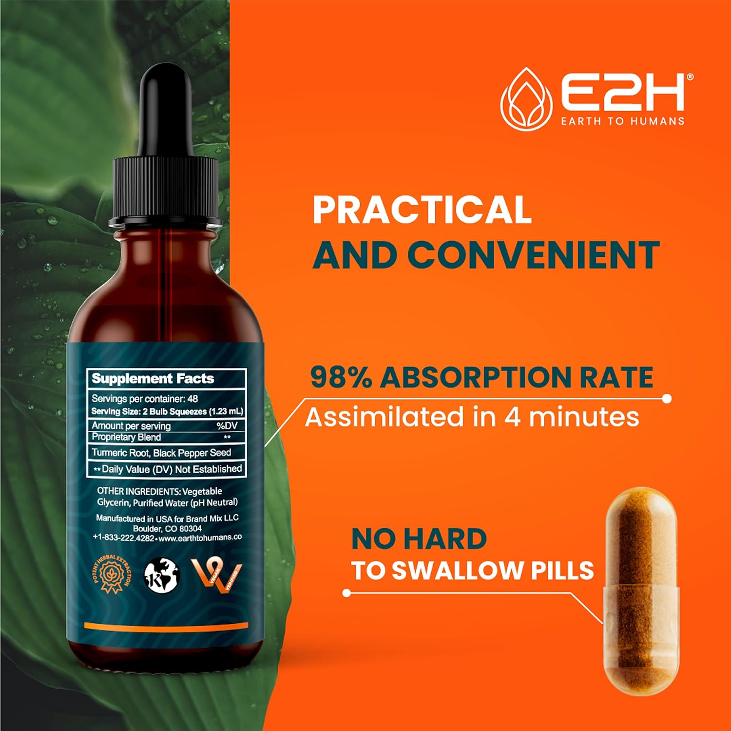 E2H Turmeric Curcumin Drops with Black Pepper - Boost Your Health - Joint Support Supplement - Vegan - Non-GMO - (2 Bottles)