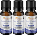 Healthy Mouth Blend Organic Tooth Oil, Flouride Free Made in The USA Toothpaste & Mouthwash Alternative, Natural Rinse for Healthy Teeth & Gums for Women, Men and Kids, Pack of 3