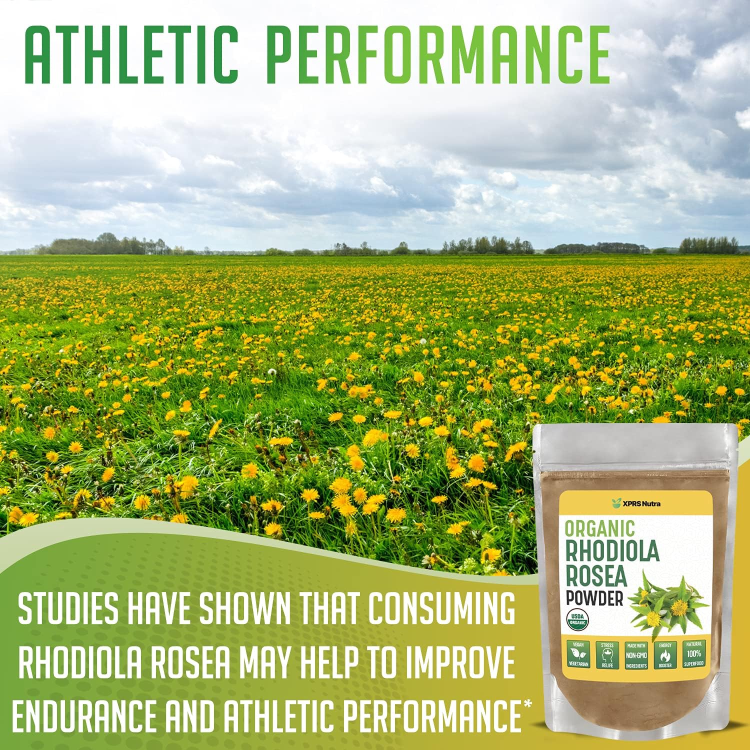 XPRS Nutra Organic Rhodiola Rosea Powder - Premium USDA Organic Rhodiola Powder to Boost Cognition and Relaxation - Vegan Friendly Energy Booster (4 oz)