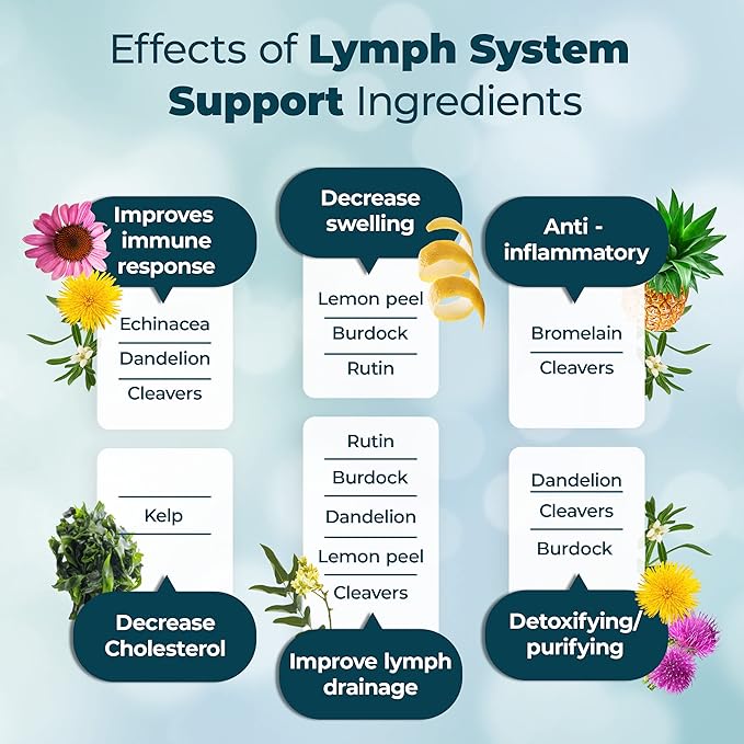 PUREHEALTH RESEARCH Lymph System Support - Lymphatic Drainage Supplement for Women & Men - Bromelain, Echinacea, Dandelion, Burdock Root, Lemon Powder, Kelp, Rutin, Cleavers & More - 360 Capsules