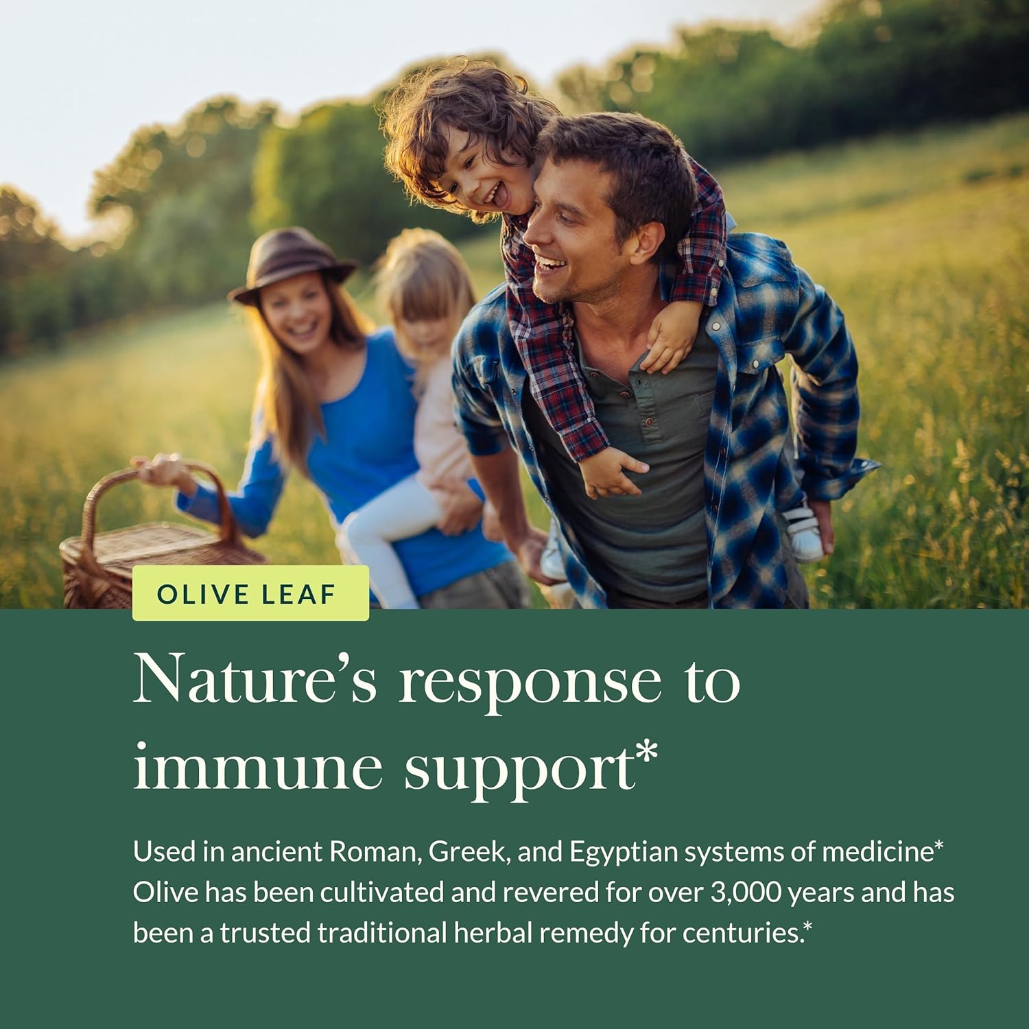 Gaia Herbs Olive Leaf - Traditional Immune Health Support - Immune System Supplement with Olive Leaf Extract and Oleuropein - 60 Vegan Liquid Phyto-Caps