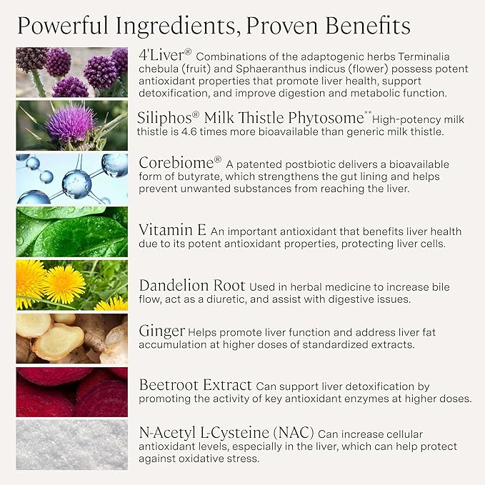 Stonehenge Health Dynamic Liver – Siliphos Milk Thistle Formula – Liver Support & Antioxidant Support, Gut-Liver Axis, Selenium, Zinc, Vitamin E, Ginger, Beetroot Extract Non-GMO, 60 Veg Caps