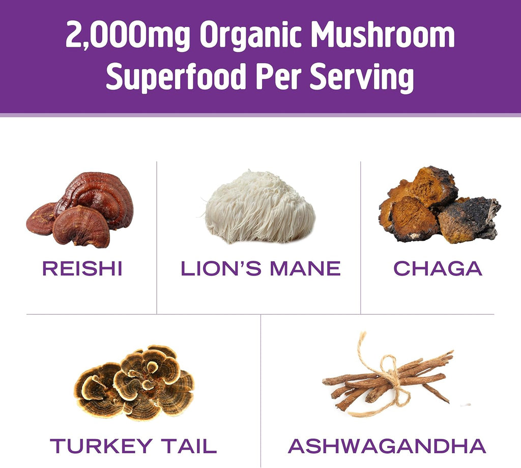 OM MUSHROOM SUPERFOOD Hot Chocolate Blend Mushroom Powder, 8.47 Ounce Canister, 30 Servings, Cocoa, 2g of Sugar, 25 Calories, Lion's Mane, Reishi, Chaga, Turkey Tail, Focus and Stress Support