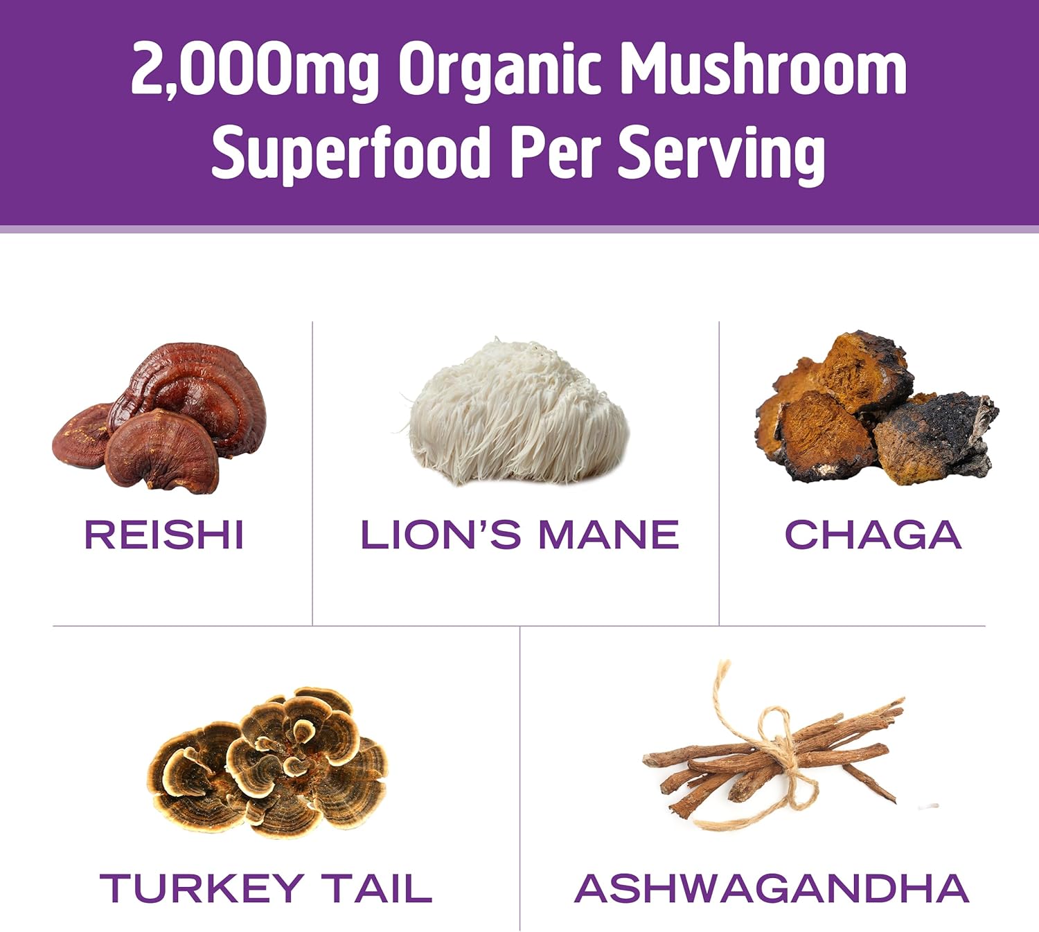 OM MUSHROOM SUPERFOOD Hot Chocolate Blend Mushroom Powder, 8.47 Ounce Canister, 30 Servings, Cocoa, 2g of Sugar, 25 Calories, Lion's Mane, Reishi, Chaga, Turkey Tail, Focus and Stress Support