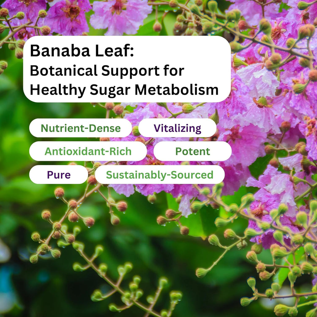 Paradise Herbs, Banaba Leaf, 12:1 Concentrated Extract, 250 mg, Vegan, Gluten-Free, Non-GMO, 60 Capsules