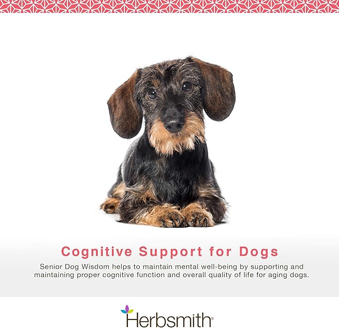 Herbsmith Senior Dog Wisdom – Dog Dementia Supplement – DHA for Senior Dog Brain Health - Senior Supplement for Dogs- 60ct Small Chews