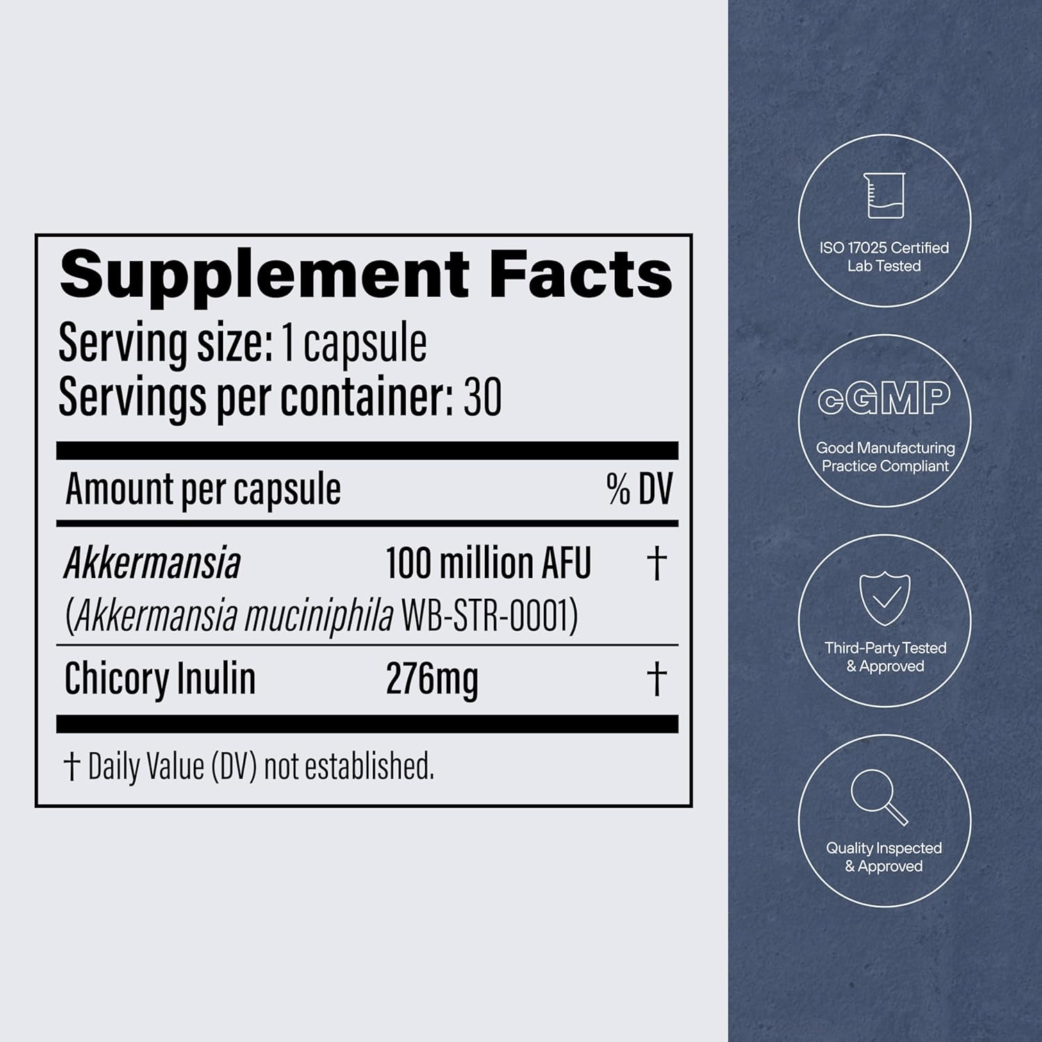 Pendulum Akkermansia Probiotic with Prebiotic Fiber - Delayed Release Capsules, Third-Party Tested, Authentic 100M AFU Live Strain for Gut Health & GLP-1 Support for Men & Women (90 Capsules, 1-Pack)