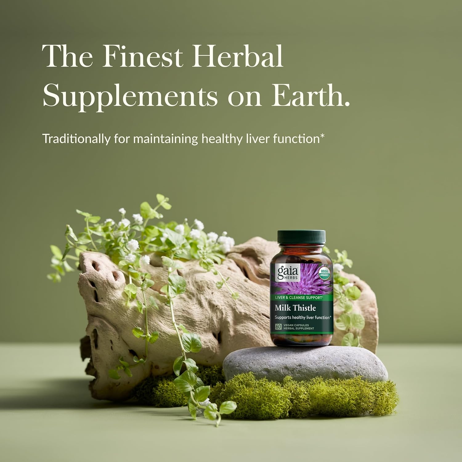 Gaia Herbs Milk Thistle - Liver Supplement & Cleanse Support for Helping to Maintain Healthy Liver Function* - 60 Vegan Capsules (20-Day Supply)