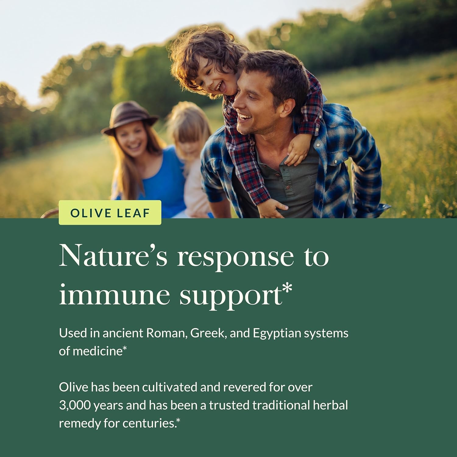 Gaia Herbs Olive Leaf - Traditional Immune Health Support - Immune System Supplement with Olive Leaf Extract and Oleuropein - 120 Vegan Liquid Phyto-Caps
