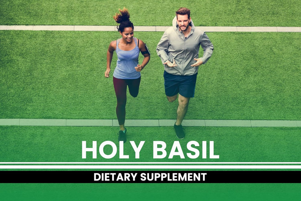 PURE ORIGINAL INGREDIENTS Holy Basil (365 Capsules) No Magnesium Or Rice Fillers, Always Pure, Lab Verified