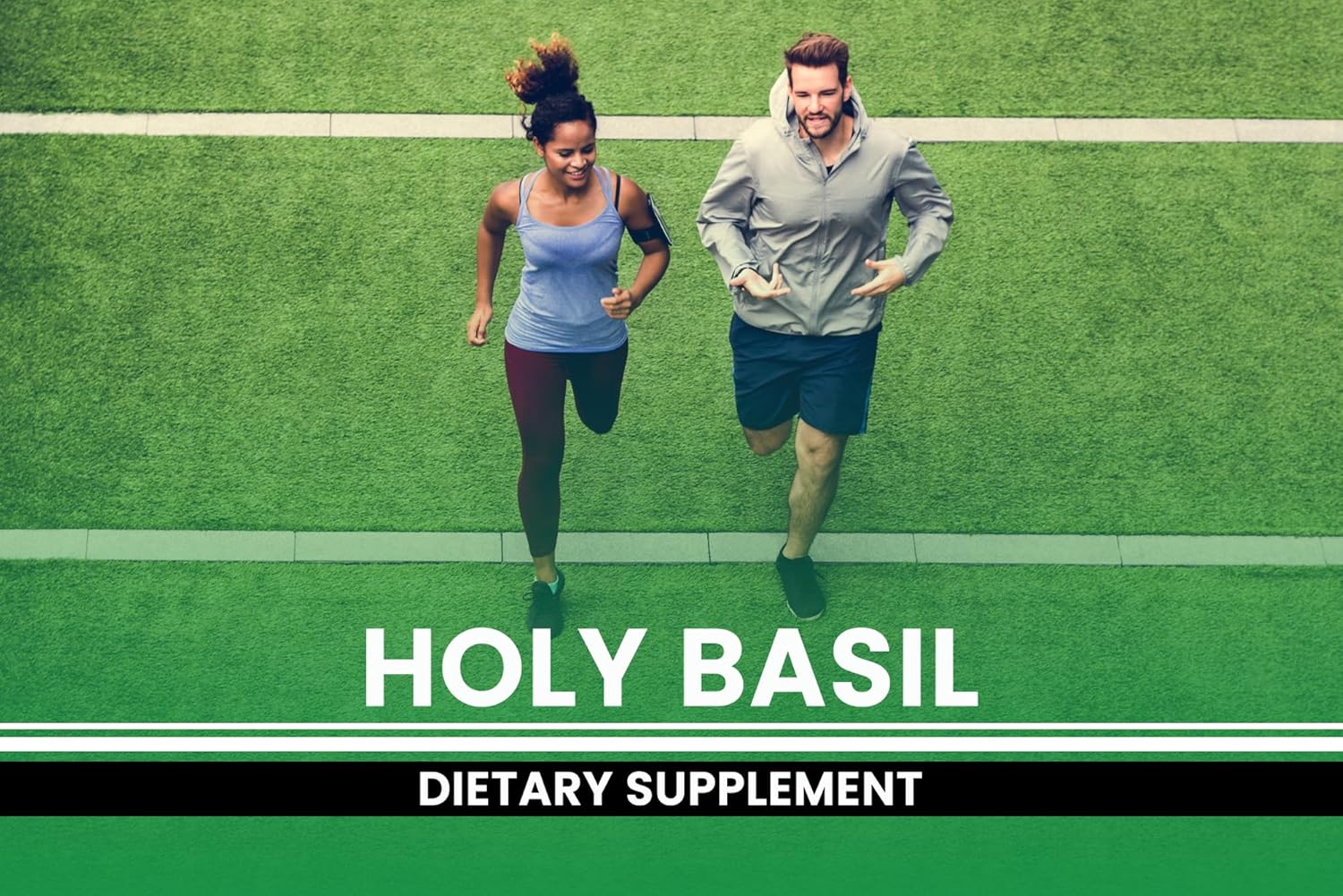 PURE ORIGINAL INGREDIENTS Holy Basil (365 Capsules) No Magnesium Or Rice Fillers, Always Pure, Lab Verified