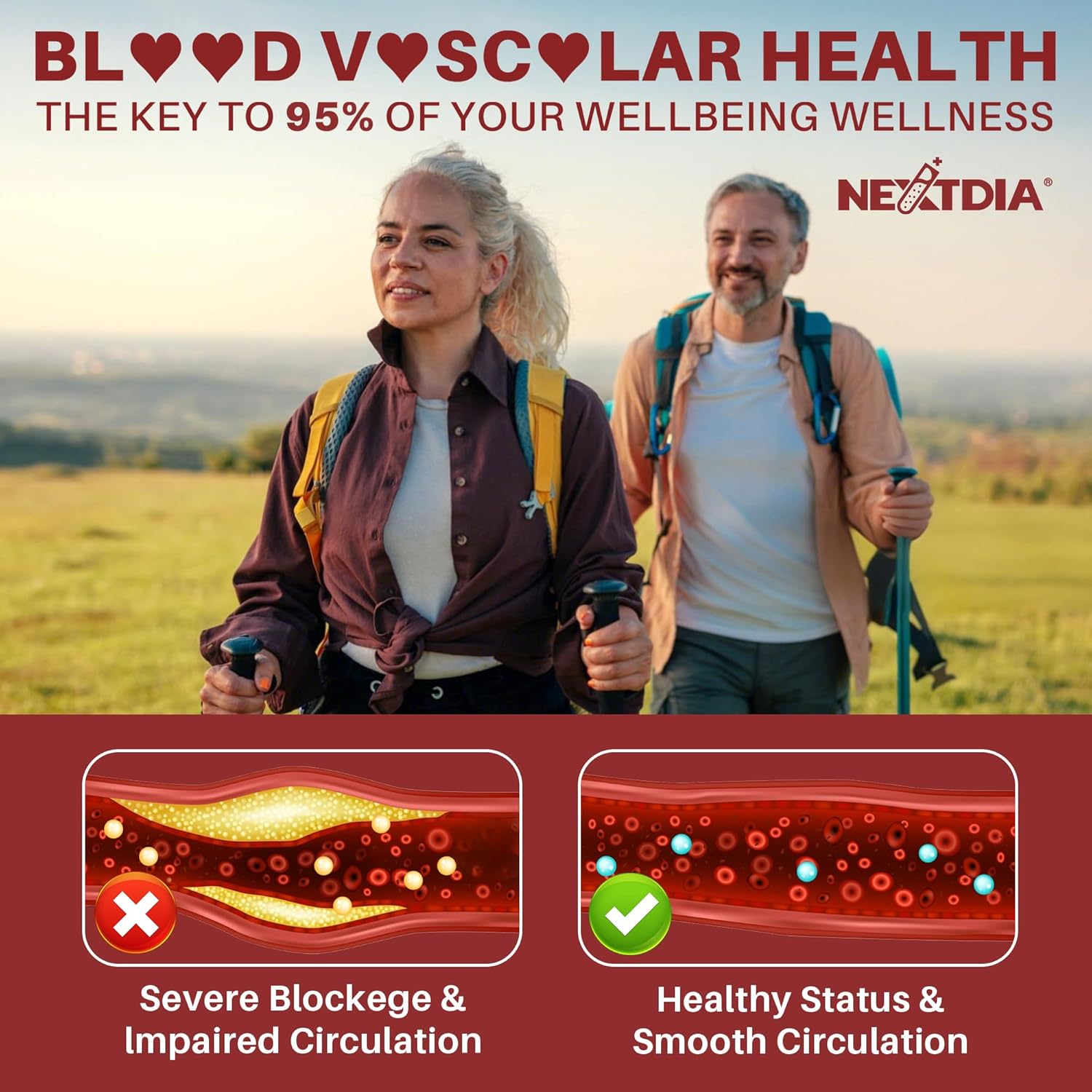 Red Yeast Rice Gummies with CoQ10, Extra Strength 2400MG Supports Vascular* Health for Men & Women, Made in USA, Boost Energy, Immunity, Vegan & Non-GMO - 120 Count
