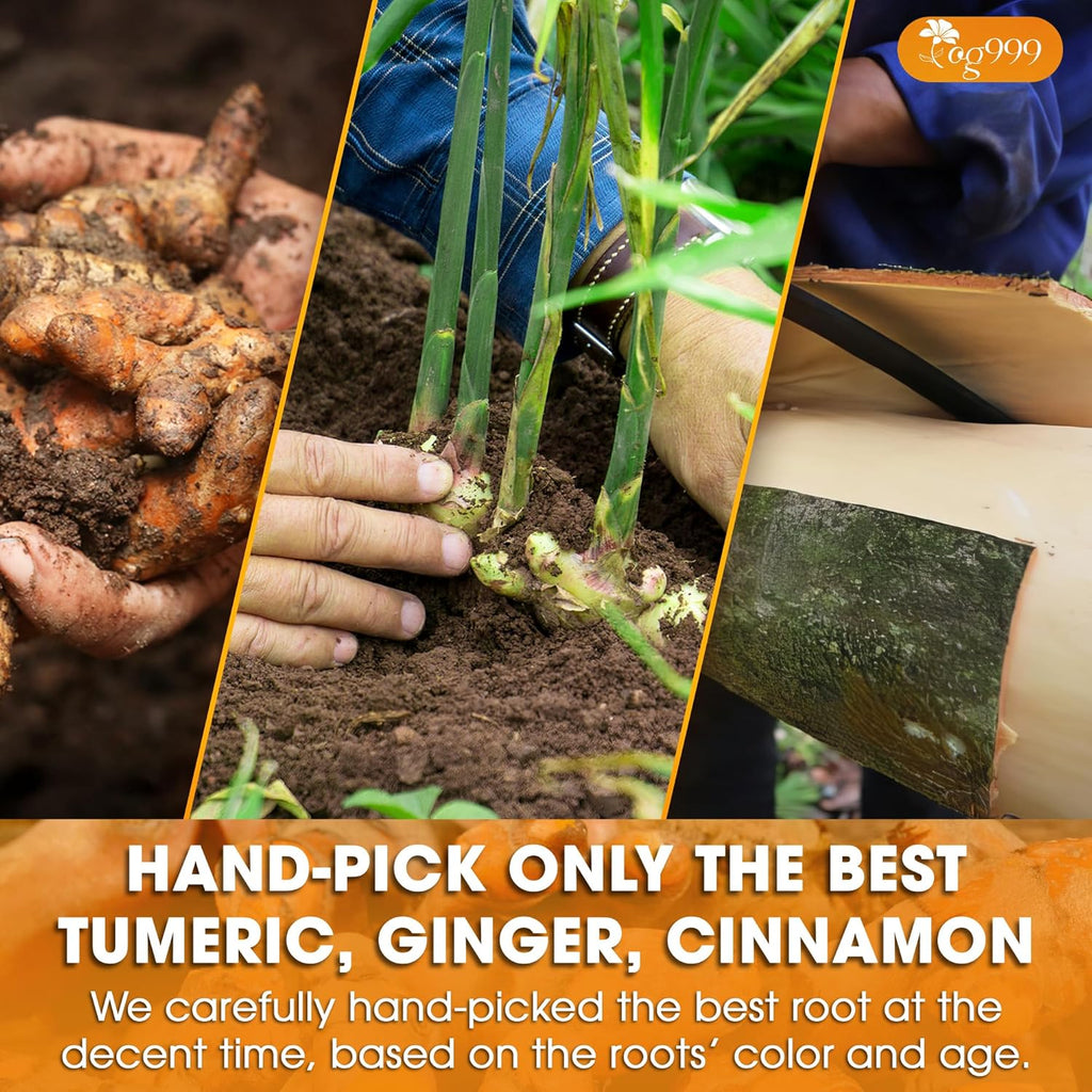 TOG999, Premium 12oz/200 cups Ginger Turmeric Cinnamon Loose Leaf Herbal Tea. Improve Digestion, Support Brain, Weight, Skin and Sleep. Premium Quality Spiced Blend. No Sugar, No Caffeine, No Gluten, Vegan.