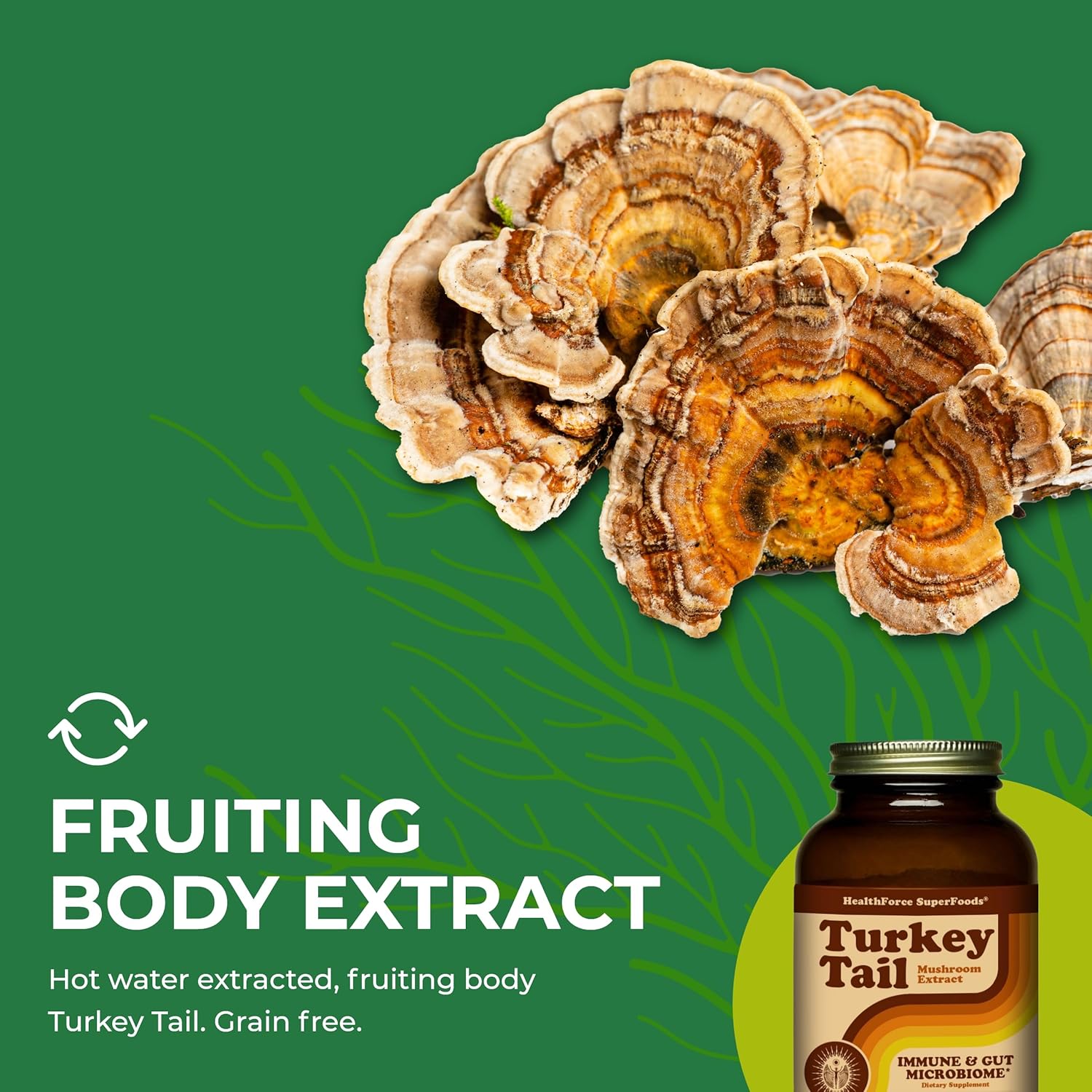 HEALTHFORCE SUPERFOODS Turkey Tail - Powder - 150 Grams