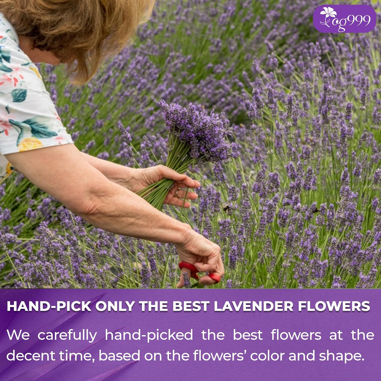 TOG999, Premium 60 Lavender Flower Tea Bags, 100% Natural & Pure from Lavender Flowers. Loose Flower Lavender Herbal Tea. Lavender Flower Tea. No Sugar, No Caffeine, No Gluten, Vegan.