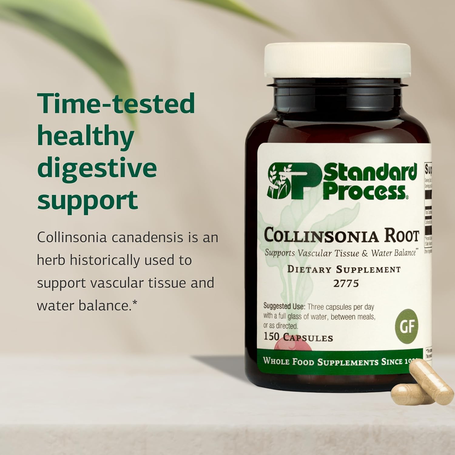 Standard Process Collinsonia Root - Whole Food Vascular Supplement, Digestive Health, Bladder Support, Digestion, and Kidney Support with Collinsonia Root -150 Capsules