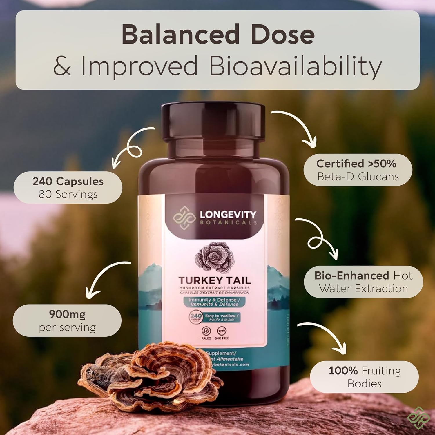 Organic Turkey Tail Mushroom Capsules Supplement (240) | Pure Fruiting Body 10:1 High Strength Extract | 50% Beta-D Glucans | 9,000mg Raw Equivalent Per Serving | Immune, Gut & Microbiome Support