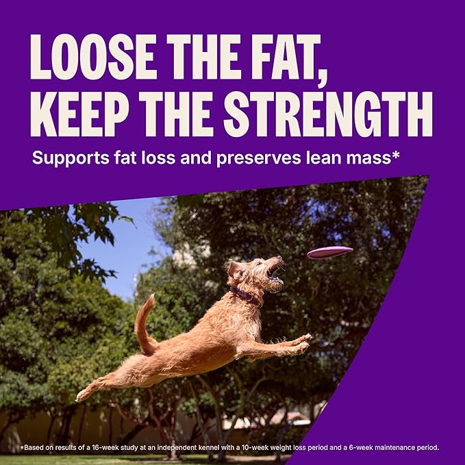 Wellness CORE Dry Dog Food, Grain-Free, High Protein, Natural, Healthy Weight Turkey & Chicken Recipe, (26-Pound Bag)