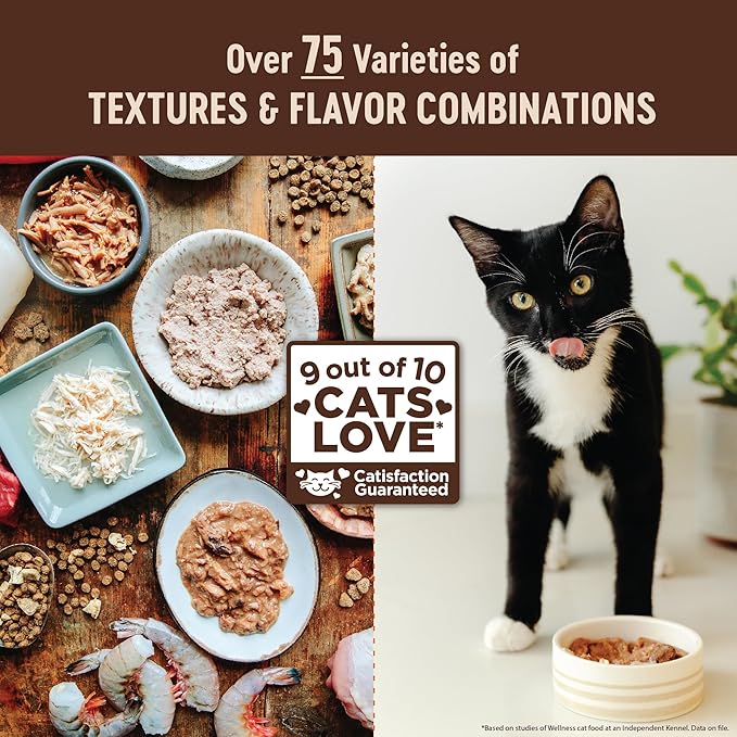 Wellness CORE+ Digestive Health Pate Adult Wet Cat Food, Natural, Protein-Rich, Grain Free, 3 Ounce, 12 Pack (Chicken)