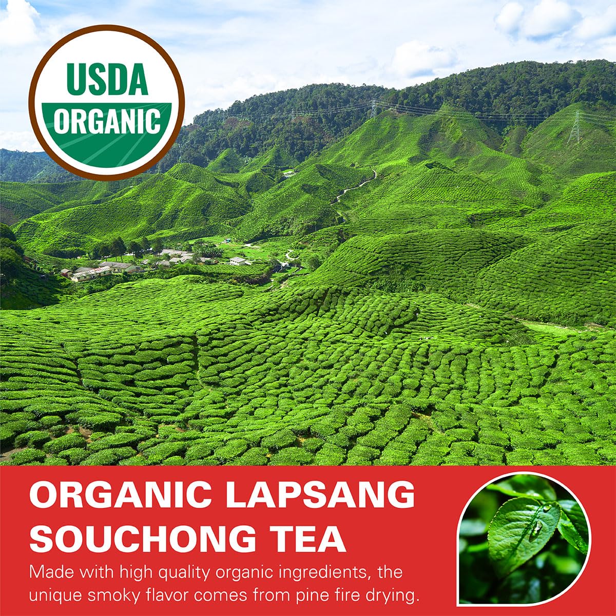WT WEETEE Organic Lapsang Souchong Tea Loose Leaf, Organic Smoky Black Tea 8 Ounces, Natural Caffeine & Antioxidant, Traditional Chinese Tea