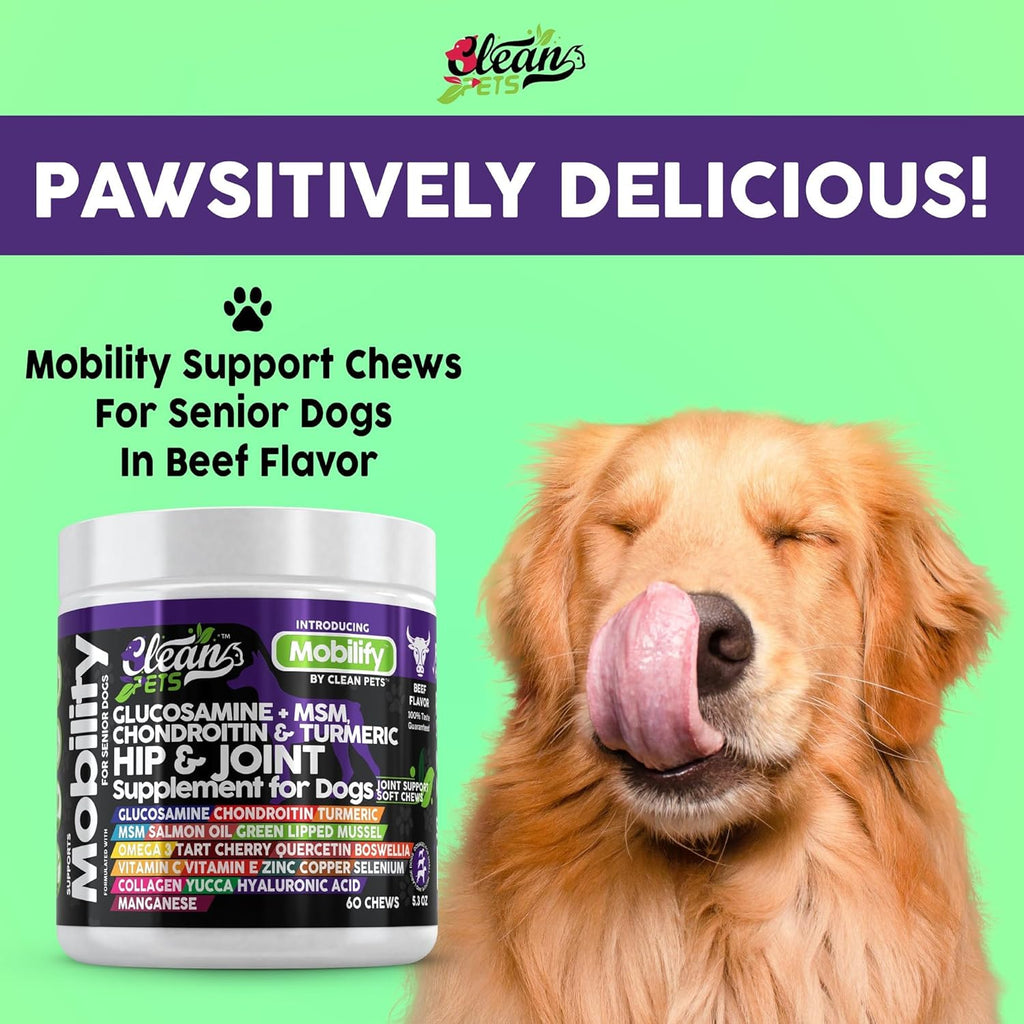 Hip and Joint Supplement Dogs with Glucosamine for Dogs + Chondroitin, Turmeric, Hyaluronic Acid, MSM, Salmon Oil, Collagen, Vitamin C, Omega 3 Senior Dog Supplements Beef Flavor - 1Pack