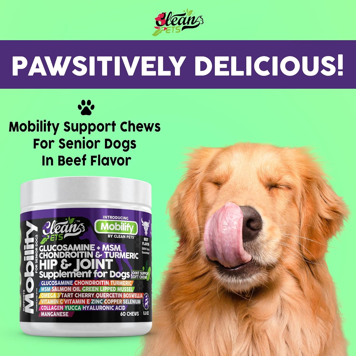 Hip and Joint Supplement Dogs with Glucosamine for Dogs + Chondroitin, Turmeric, Hyaluronic Acid, MSM, Salmon Oil, Collagen, Vitamin C, Omega 3 Senior Dog Supplements Beef Flavor - 1Pack