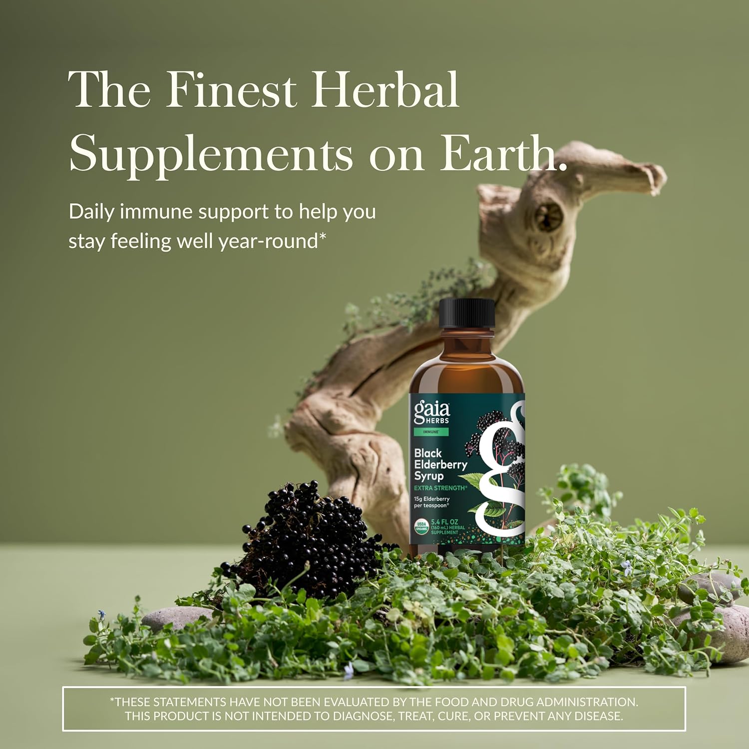 Gaia Herbs Black Elderberry(Sambucus Nigra)Syrup Extra Strength-Immune Support Supplement-Made with Organic Black Elderberries for Immune System-USDA Certified Organic Formula-5.4 Fl Oz(32-Day Supply)