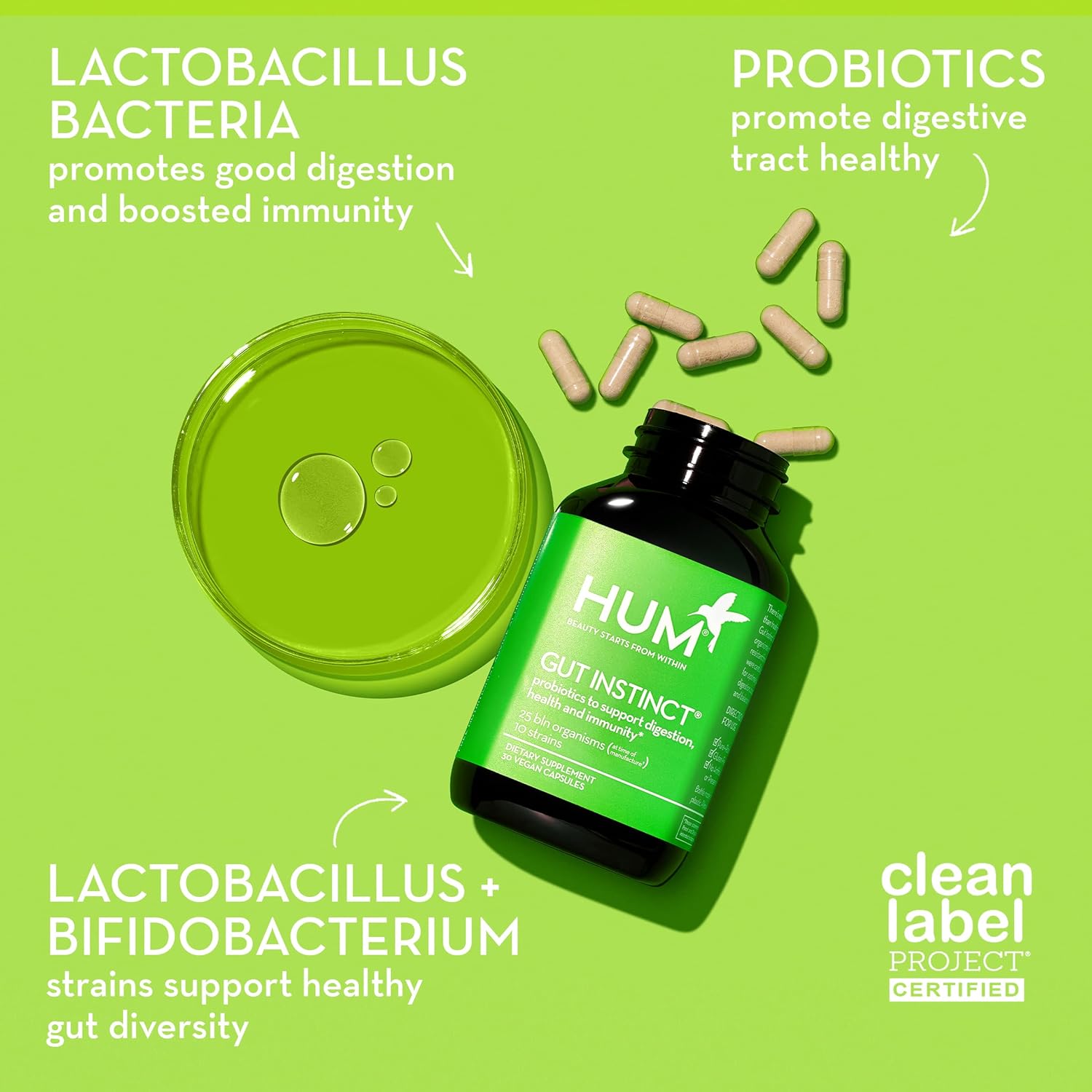 HUM Gut Instinct Daily Probiotics for Women and Men, Digestive Health, Lactobacillus, Bifidobacterium Strains for Immune Support, Probiotic Supplement for Healthy Gut Diversity, 90 Capsules