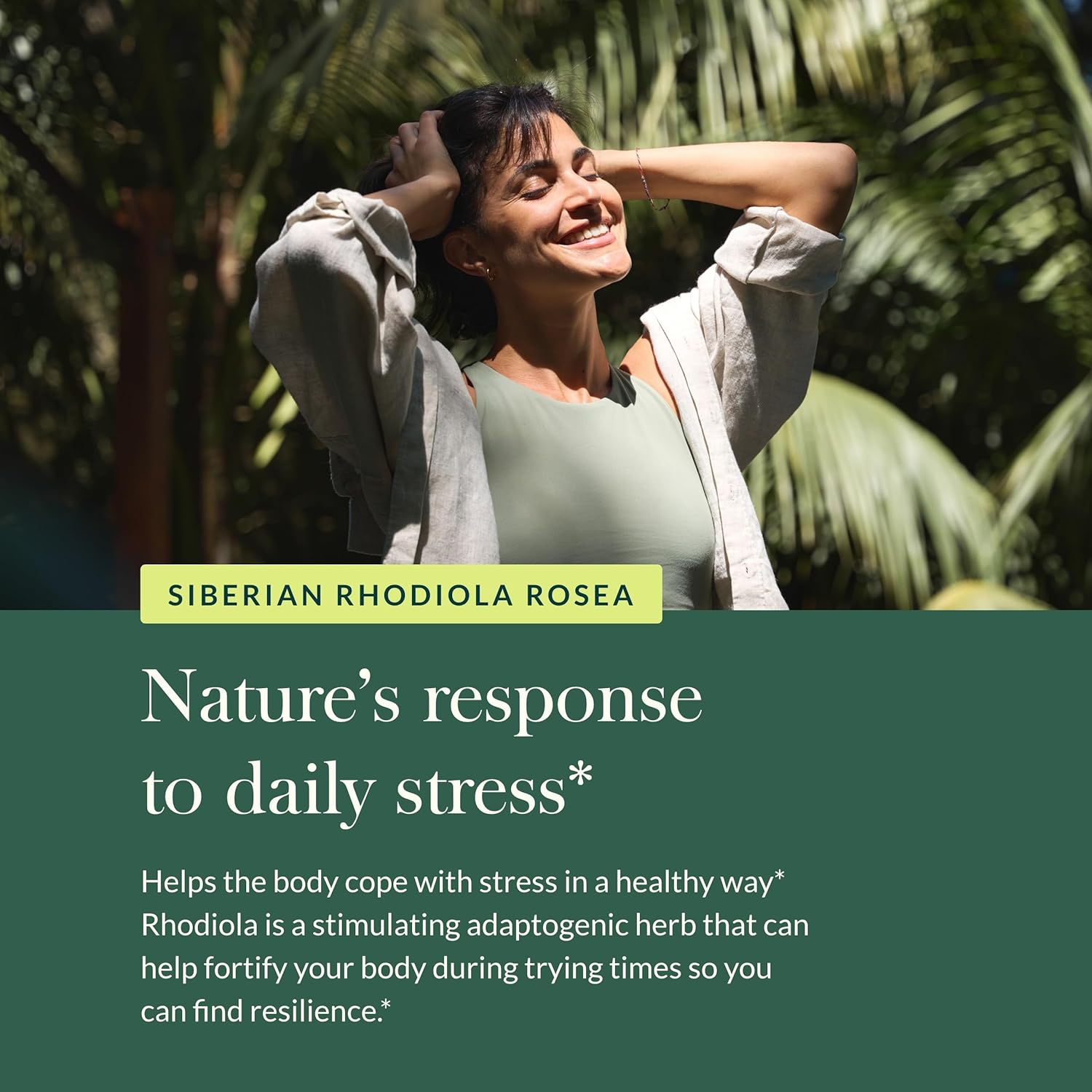 Gaia Herbs Rhodiola Rosea - Stress Support Supplement Traditionally for Supporting Healthy Stamina & Endurance - with Siberian Rhodiola Root Extract* - 60 Vegan Liquid Phyto-Capsules (30-Day Supply)