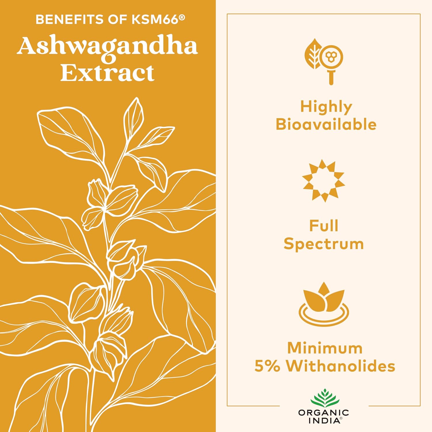 ORGANIC INDIA Ashwagandha Gummies for Men & Women - Stress Supplement, KSM-66 Ashwagandha Root, Extra Strength, Calm Chews, Vegan, Non-GMO - Lemon Lime, 60 Gummies