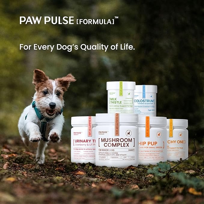PAWPULSE FORMULA Colostrum for Dogs – Bovine Colostrum Powder with High IgG for Seasonal Allergy, Immune Defense, Skin & Gut Health – Clean Superfood Supplement, Additive-Free, 2.12 oz