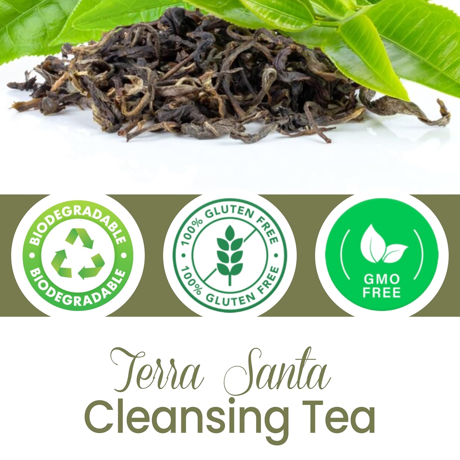 Milamiamor Terra Santa Cleansing Tea – Herbal Detox, Digestive Relief & Bloating Reduction, Proven Laxative Blend with Antioxidants for Digestive Cleanse & Natural Detox, Made in USA, 14 Tea Bags