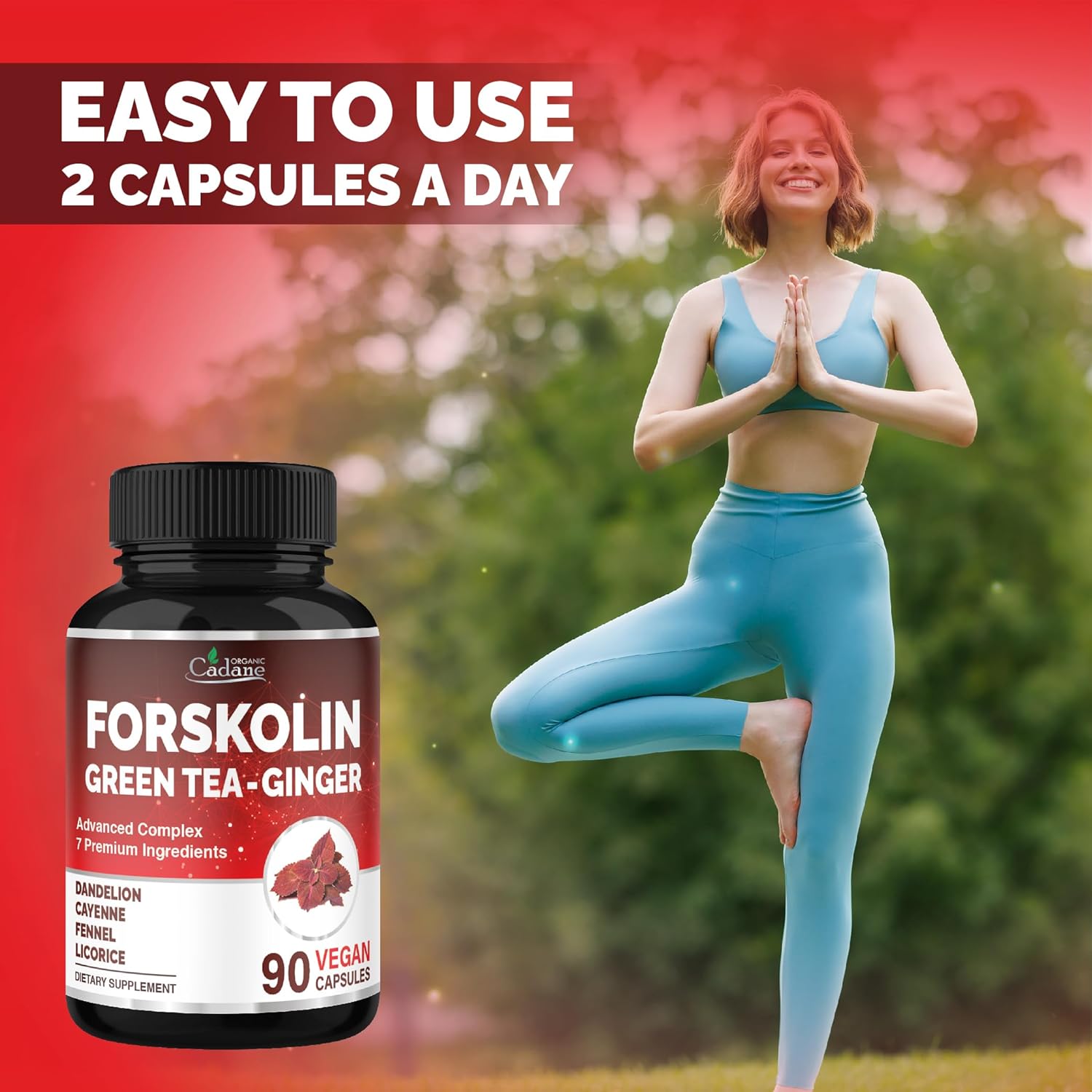 Organic Cadane Forskolin Supplement with Green Tea, Ginger, Dandelion, Cayenne, Fennel, and Licorice| Body Management & Energy Support | Vegan, Non-GMO – 90 Capsules – 45-Day Supply