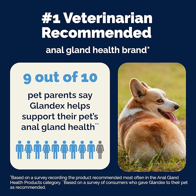 Vetnique Glandex Anal Gland Health Soft Chew Treats with Pumpkin for Dogs Digestive Enzymes, Probiotics Fiber Supplement for Dogs Boot The Scoot (Advanced Strength Duck/Bacon Chews (Veg), 30 Count)