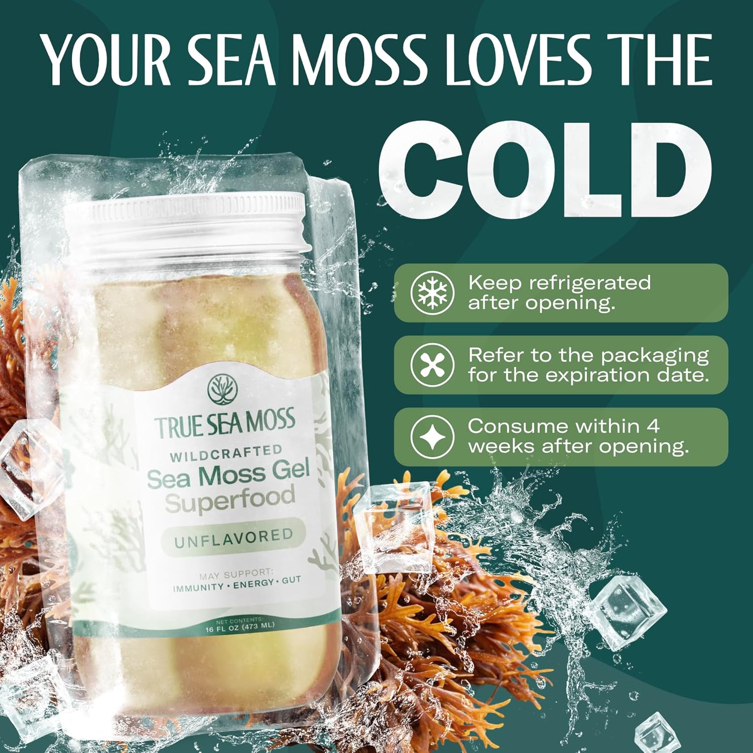 TrueSeaMoss Sea Moss Gel – Made in USA – Wildcrafted Seamoss, Dried Seaweed & Sea Vegetables – Original, Pack of 1 (Labels may Vary)