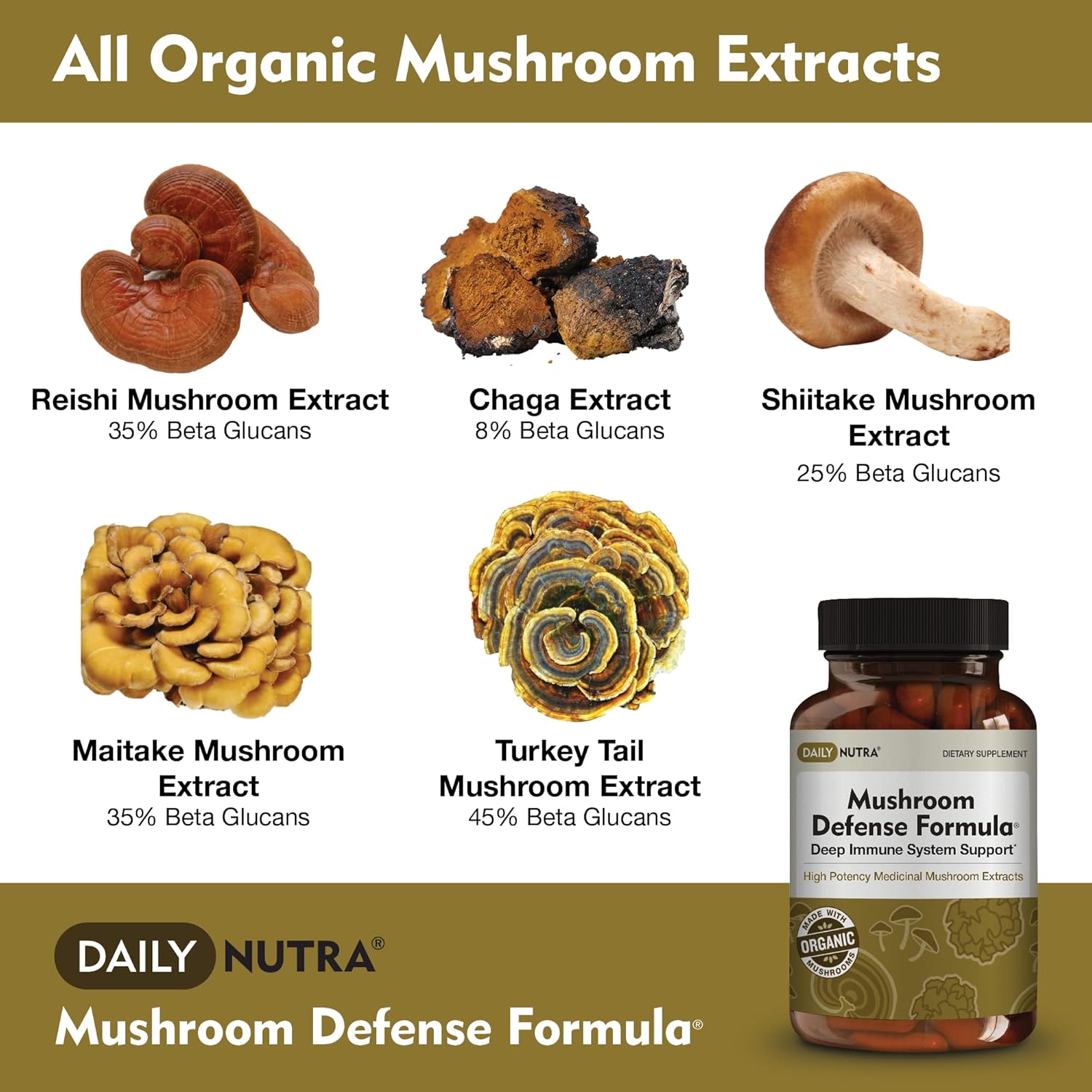 DailyNutra Mushroom Defense Formula - Immune Support Supplement | Organic Mushrooms, Hot Water Extracted - Reishi, Chaga, Maitake, Shiitake & Turkey Tail (90 Capsules)