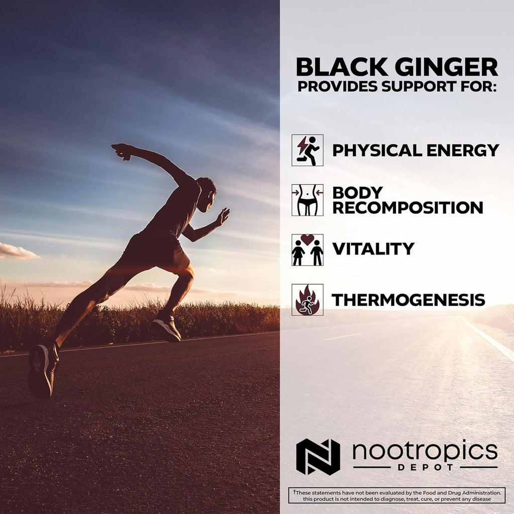 Nootropics Depot Black Ginger Extract Capsules | 10% 5,7-dimethoxyflavone | 60 Count