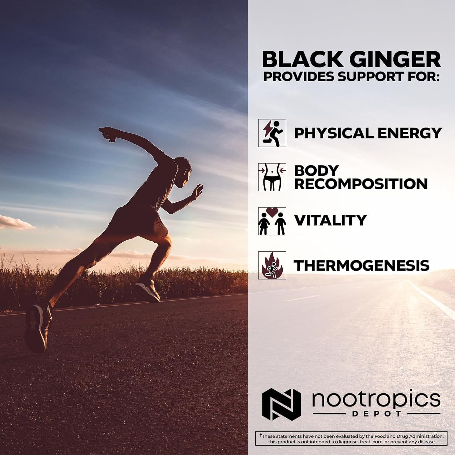 Nootropics Depot Black Ginger Extract Capsules | 10% 5,7-dimethoxyflavone | 60 Count