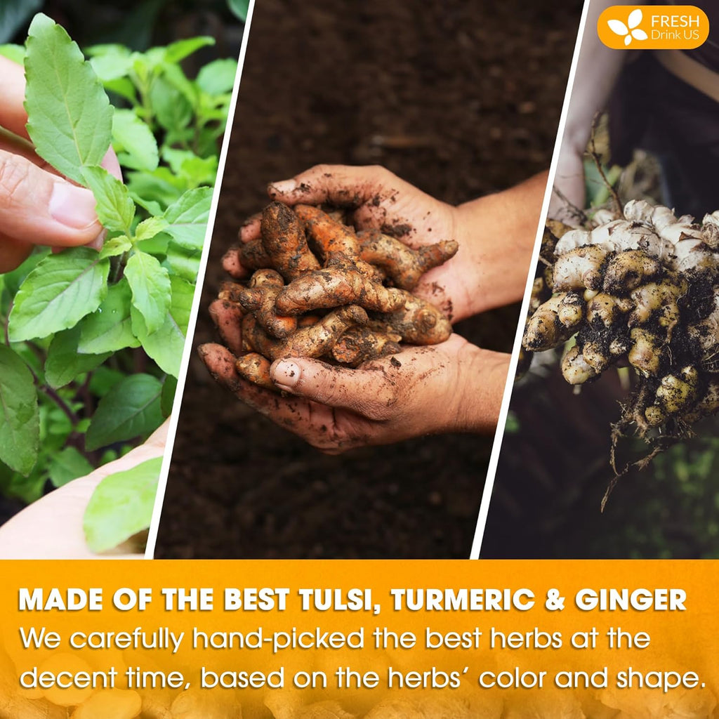 FreshDrinkUS, Premium 75 Tulsi Turmeric Ginger Tea Bags, 100% Natural & Pure from Tulsi Holy Basil Leaves, Turmeric and Ginger. Made with Natural Material Tea Bags. No Sugar, No Caffeine, Vegan.