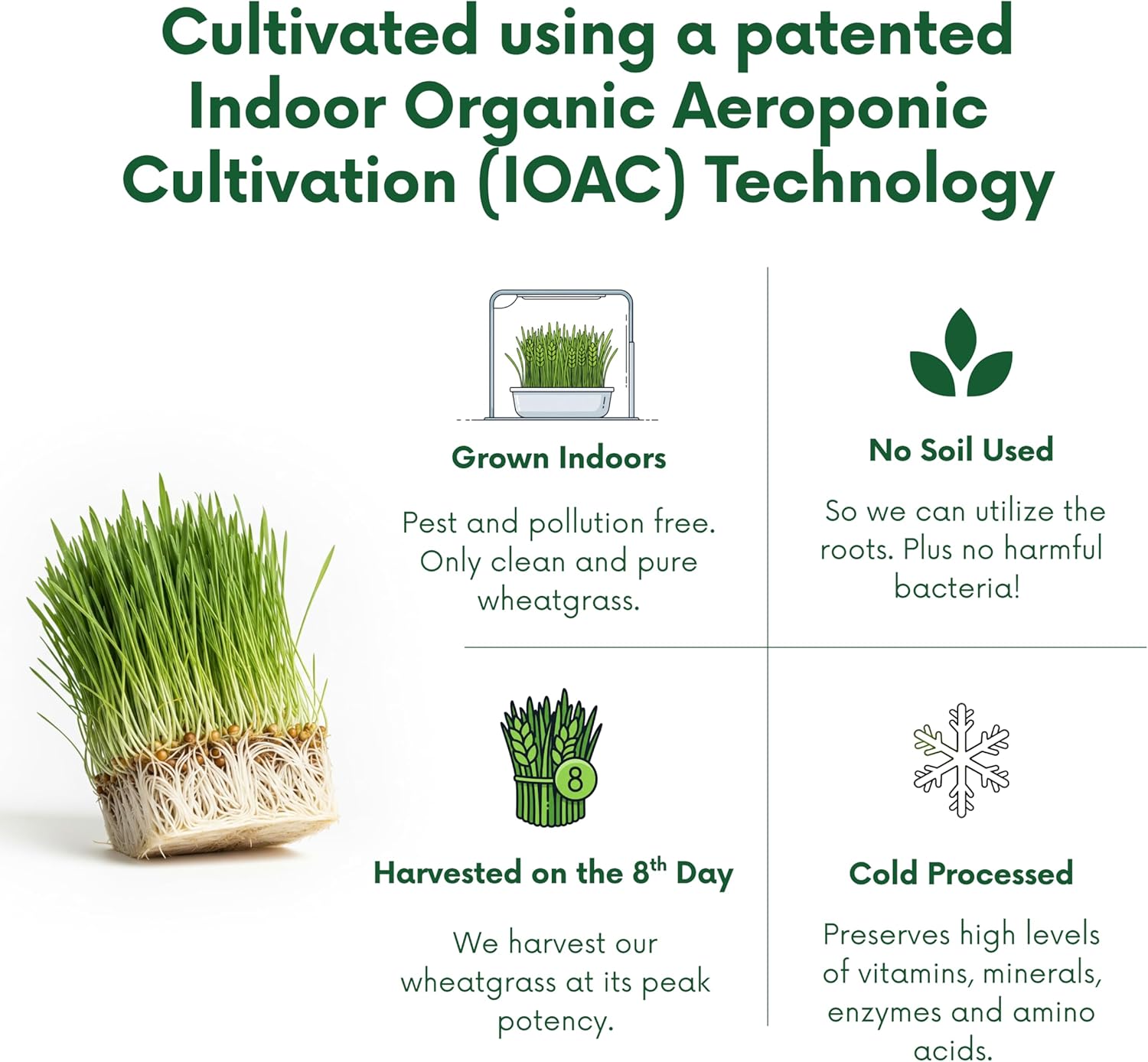 Organic Wheatgrass Powder – 100% Whole Plant with Leaves & Roots | Cold-Processed for Nutrient Retention, 100+ Vitamins, Amino Acids & Enzymes | Non-GMO & Soil-Free | 66 Travel-Ready Sachets